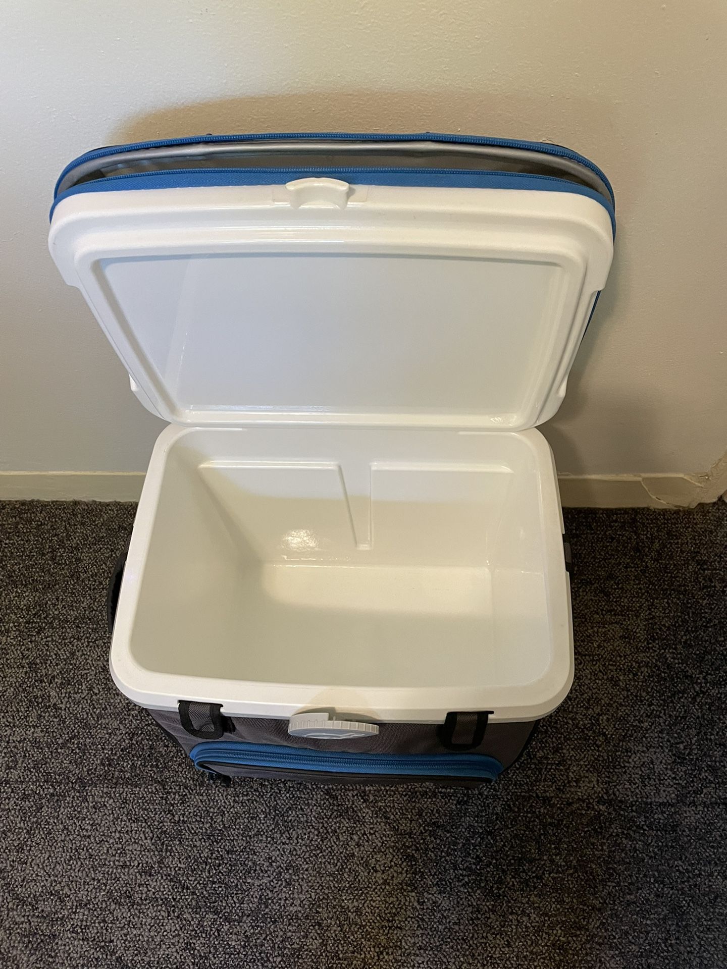 Igloo Cooler