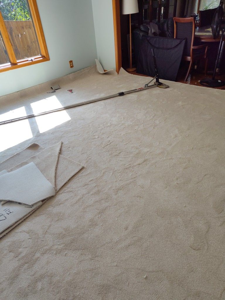 Carpet installation And Sales