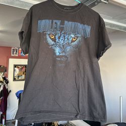 Harley Davidson T-shirt (large)