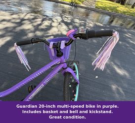 2025 Guardian 20” Multi-Speed Kids Bike – Great Condition! Purple & Aqua + Accessories