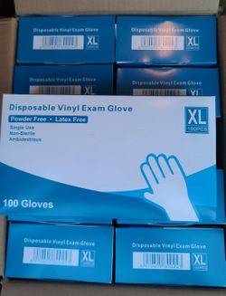 Vinyl Gloves