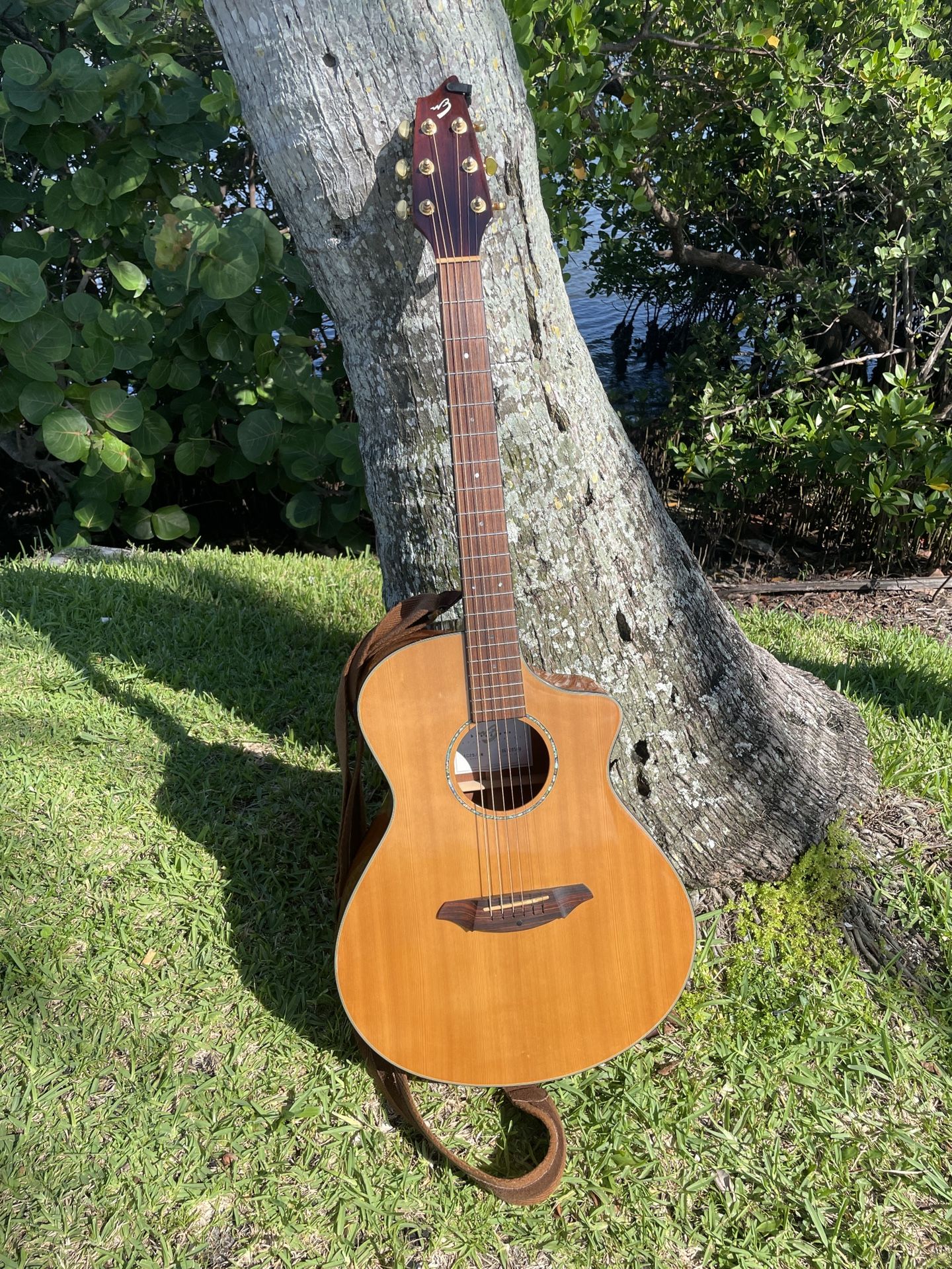 Breedlove acoustic