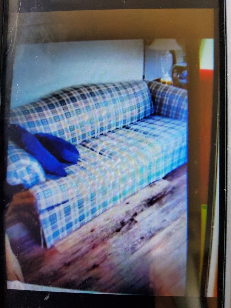 $250 SOFA (QUEEN SLEEPER)   LOVE SEAT & PILLOWS