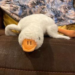 Duck Plushie