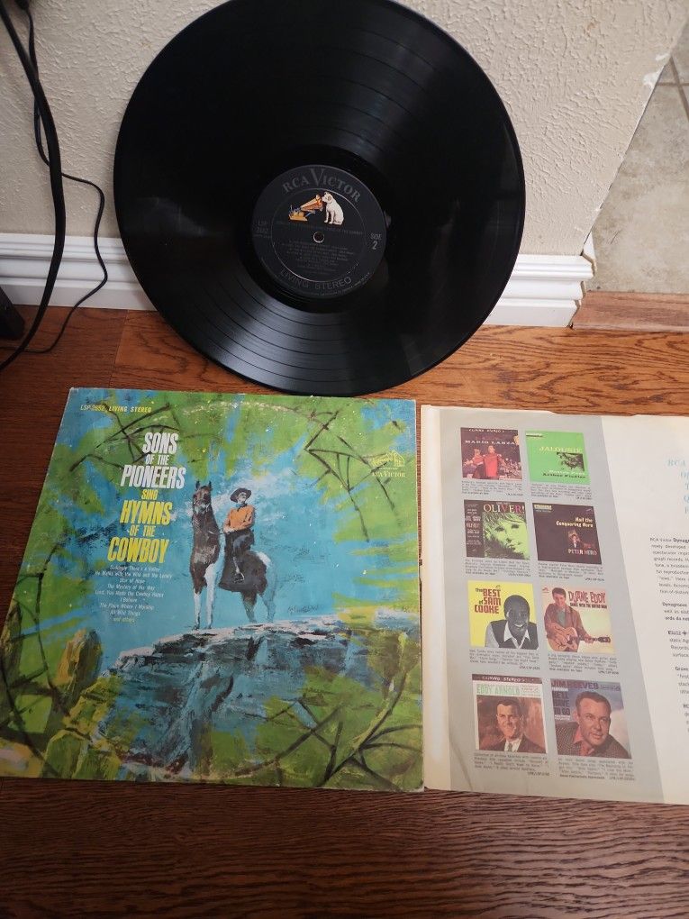 Sons Of Pioneer Vinyl