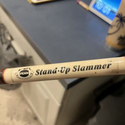 6’ Medium Action Penn Stand Up Slammer