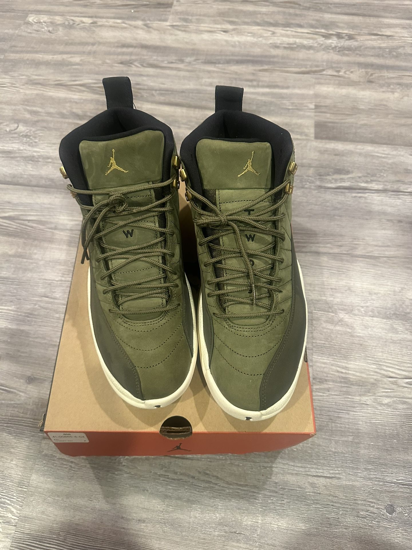 Air Jordan 12 CP3 Size 12 PADS