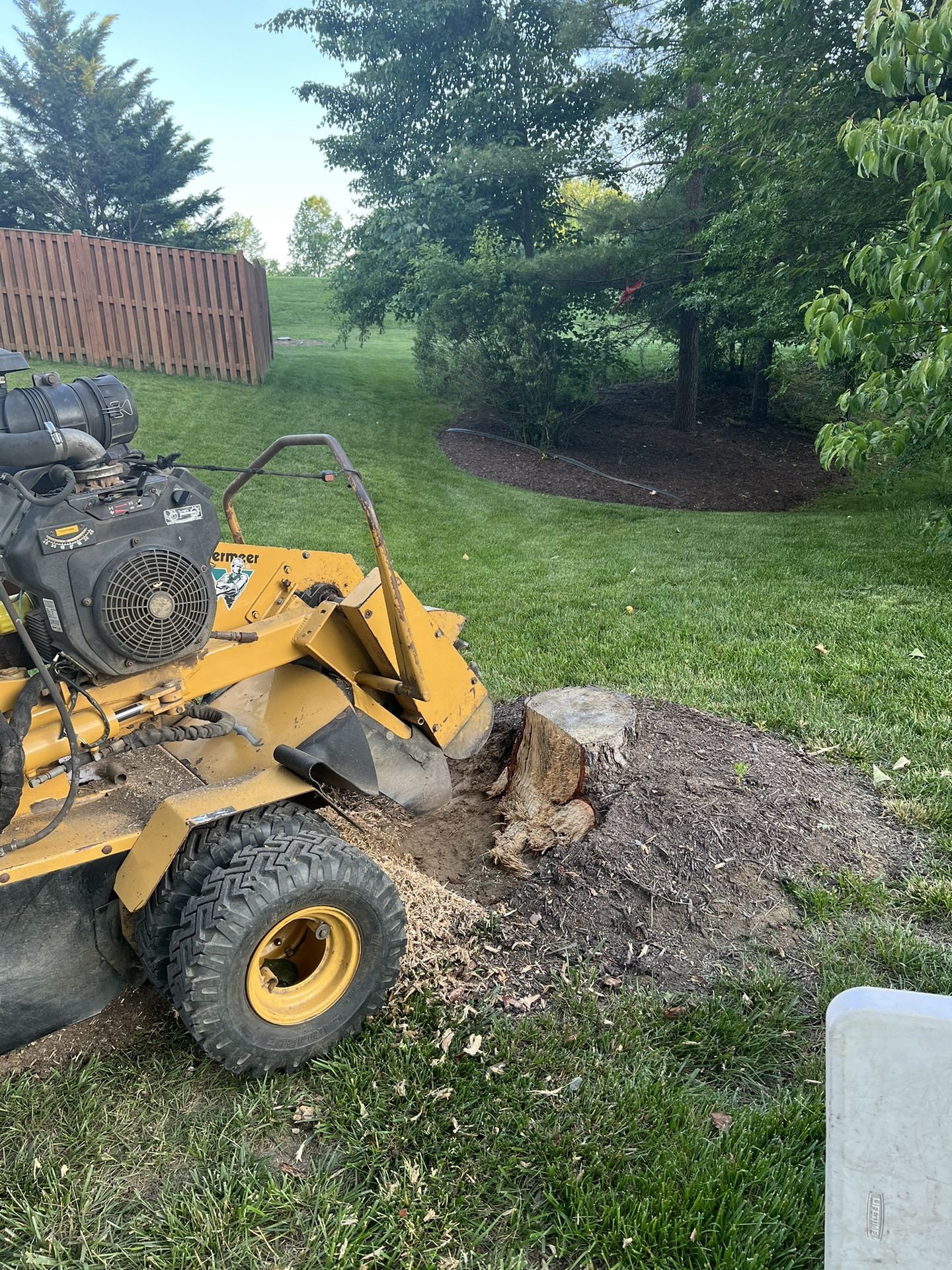 Tree Stump