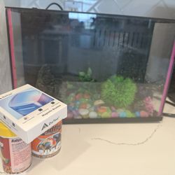 Free Fish Tank With Everything Needed 