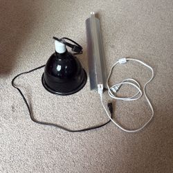 Reptile Lighting Uv Lamp Heating Lamp 