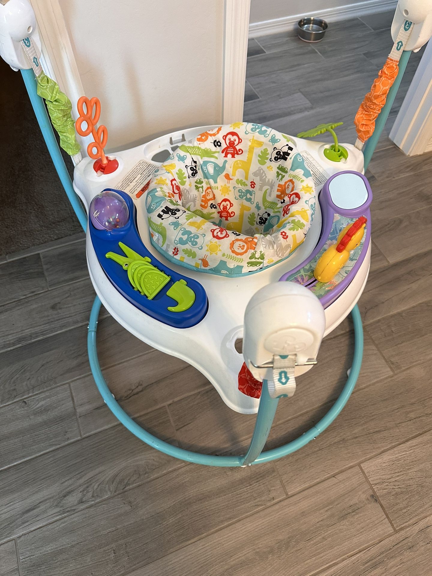 Fisher Price Jumperoo