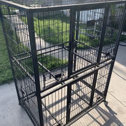 Cage  Bird! Puppies,parrots