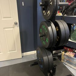 FRAY Rubber Bumper Plates (plate holder Included)
