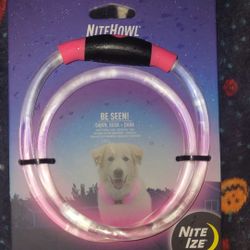 Dog Light Up Collar