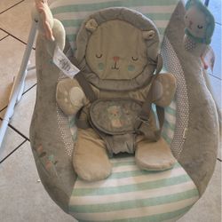 Baby Swing