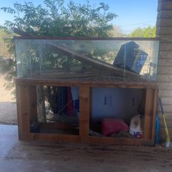 Fish Tank 