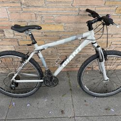 GIANT terrago bike