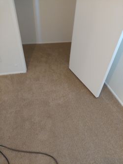 Carpet