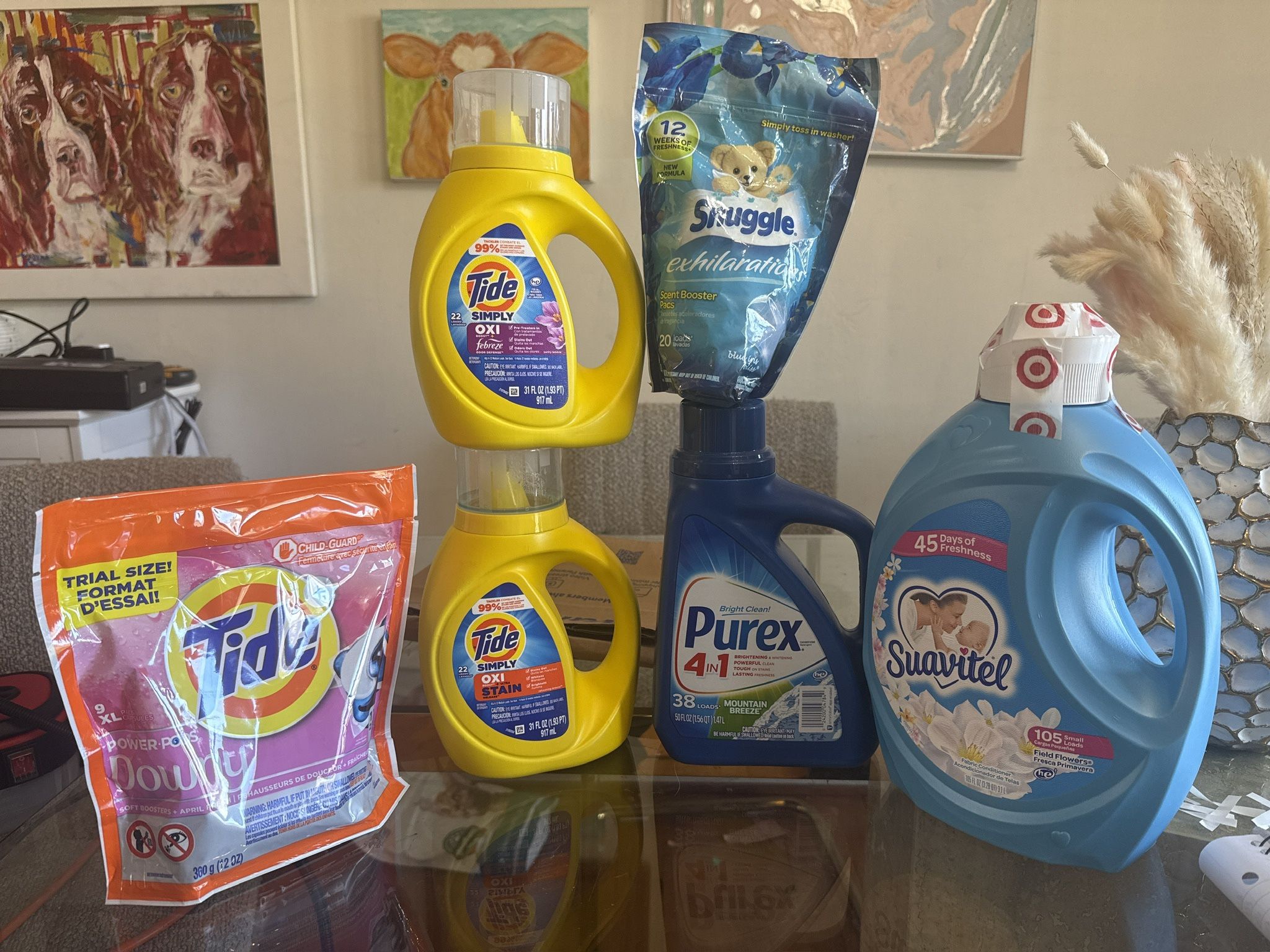 Laundry Bundle – Tide, Purex, Suavitel, Snuggle – New