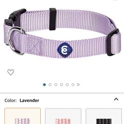 Blueberry Pet Essentials 21 Colors Classic Dog Collar, Lavender, Small, Neck 12"-16", Nylon Collars for Dogs