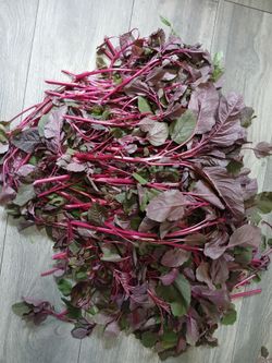 Red Spinach (Lal Shak)