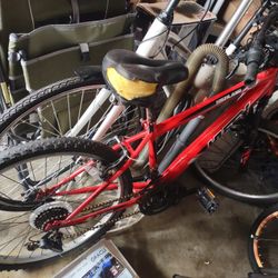 22"Red Bike