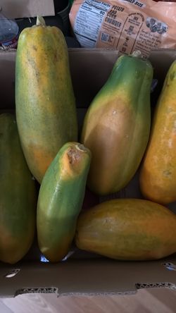 6 Organic Homegrown Papayas