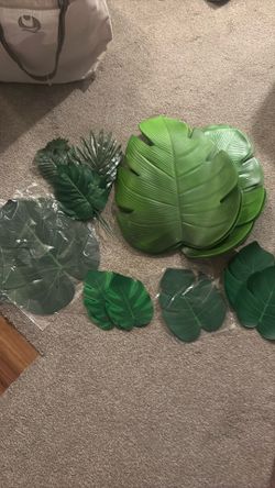 Assorted Monstera leaves for party deco