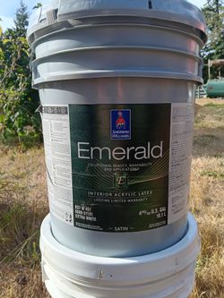 New paint