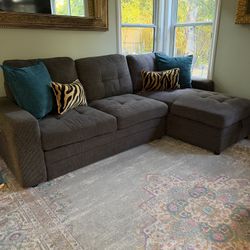Storage Sleeper Sofa
