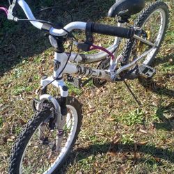 Nice Bike