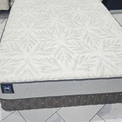 Queen Sizes Mattress And Box Spring 