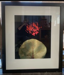 Picture deco metal framed
