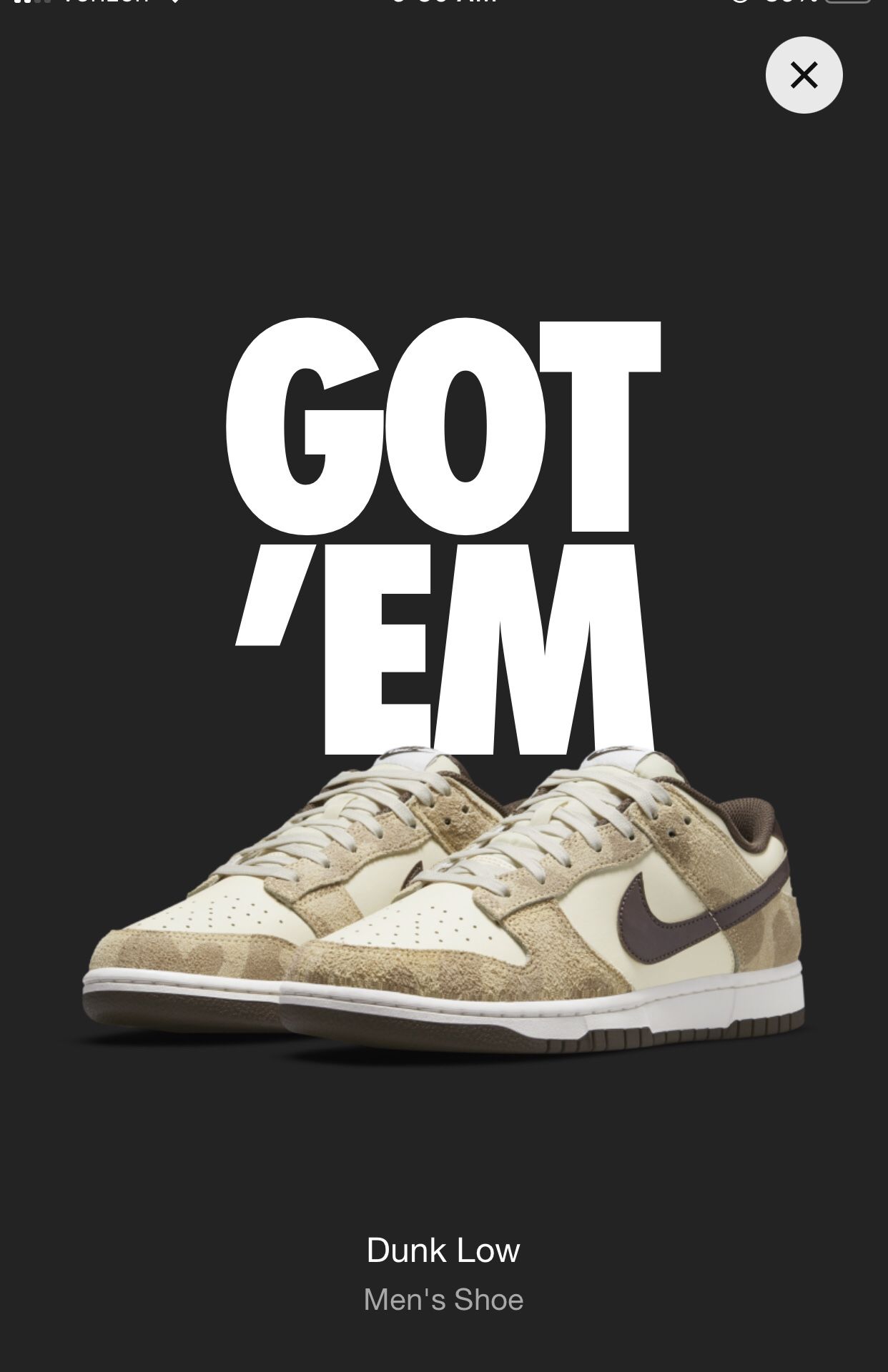 Nike Dunk Low Retro PRM Animal Pack Giraffe/Cheetah Size