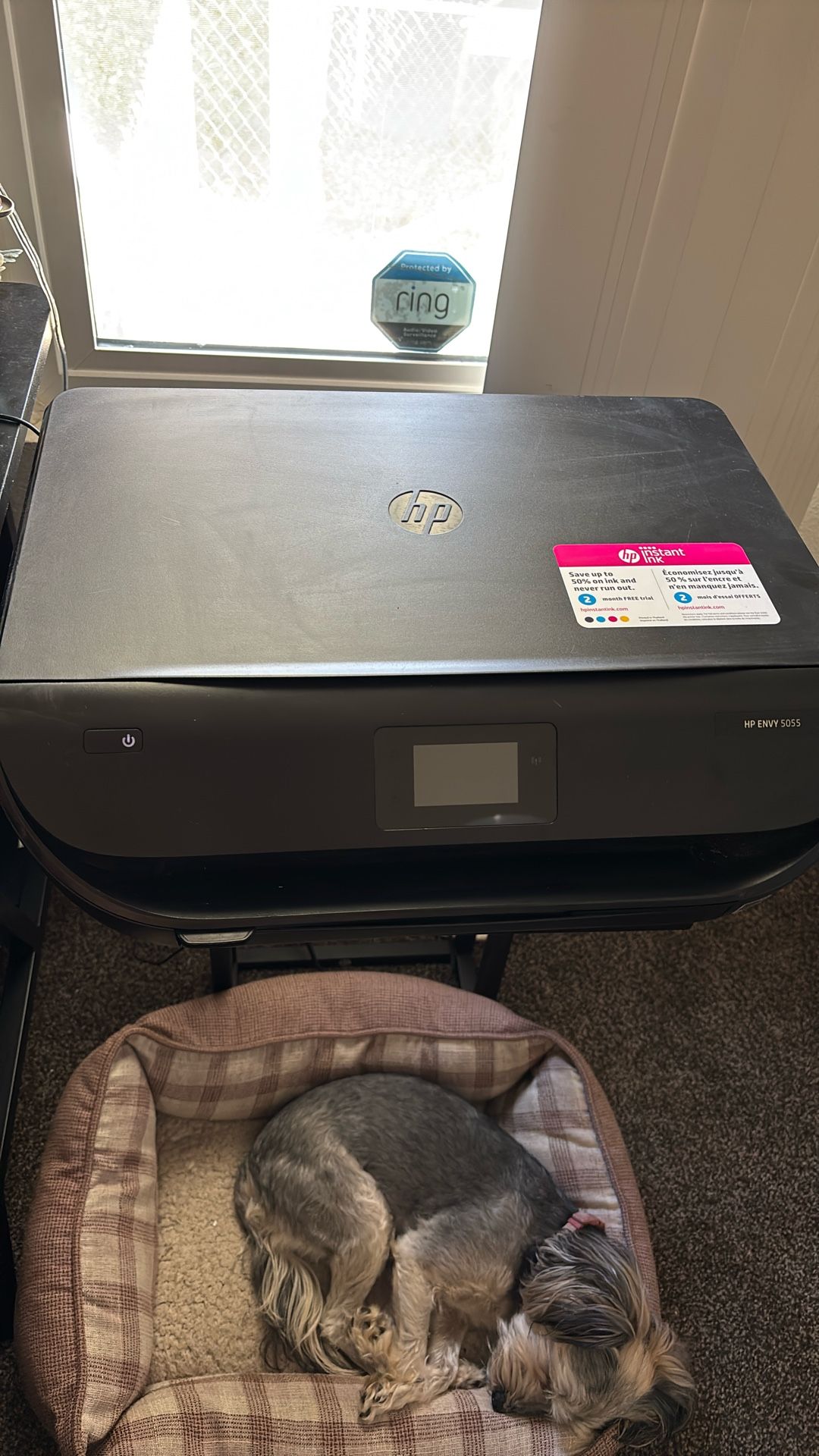 HP Envy 4520 Printer 