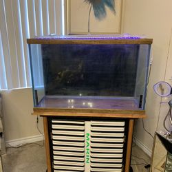 Fish Tank  End Stand 55 Galon