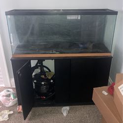 55 Gallon Tank With Stand  And Fluval Filter