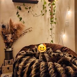 CordaRoy’s King Bean Bag Chair – Converts to King Mattress