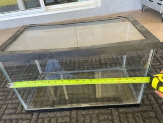 Terrarium, aquarium, fish tank