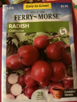 Variety of Vegetables 