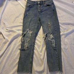 Wild Fable Exposed Button-Fly Closure High Rise Straight Distressed Ripped Jeans