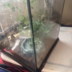 Snake/reptile tank