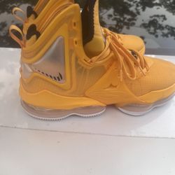 LeBron 19 Hard Hats 