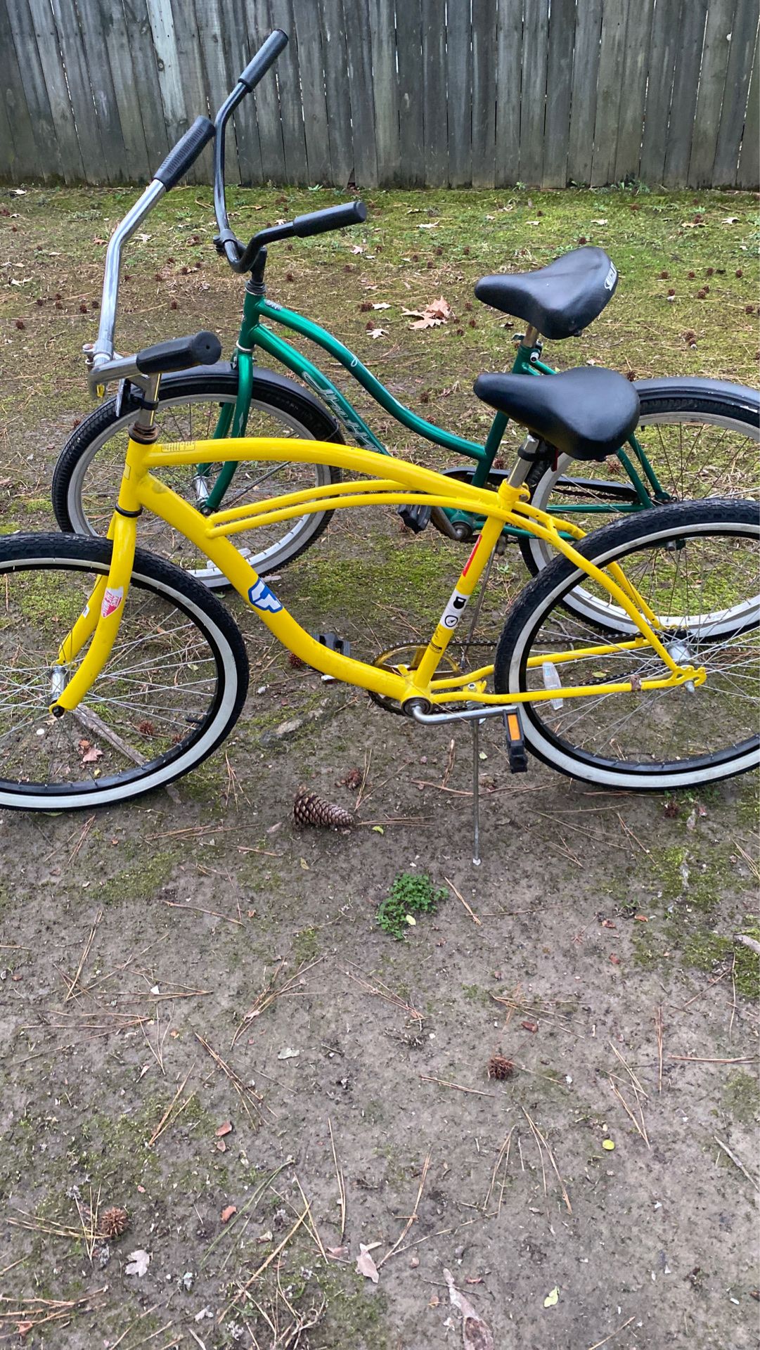 2 bike Beach cruiser