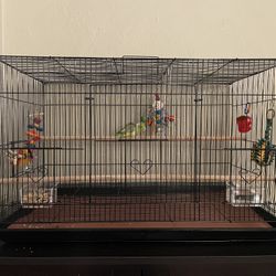 Bird Cage