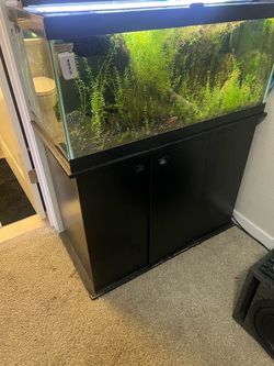 Selling 2 40 Gallon Tanks + Stand