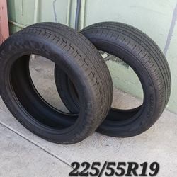 225/55R19