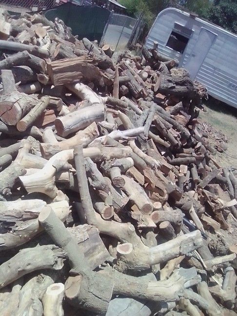  Burning Wood