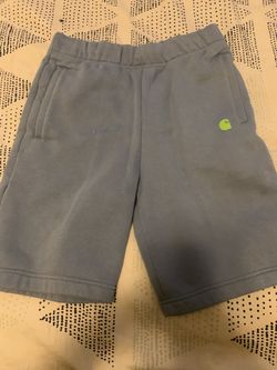 Jordan carhartt Dsg The North Face Shorts