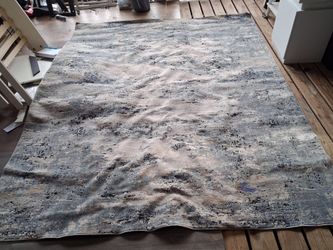 SURYA 8'x10' area rug